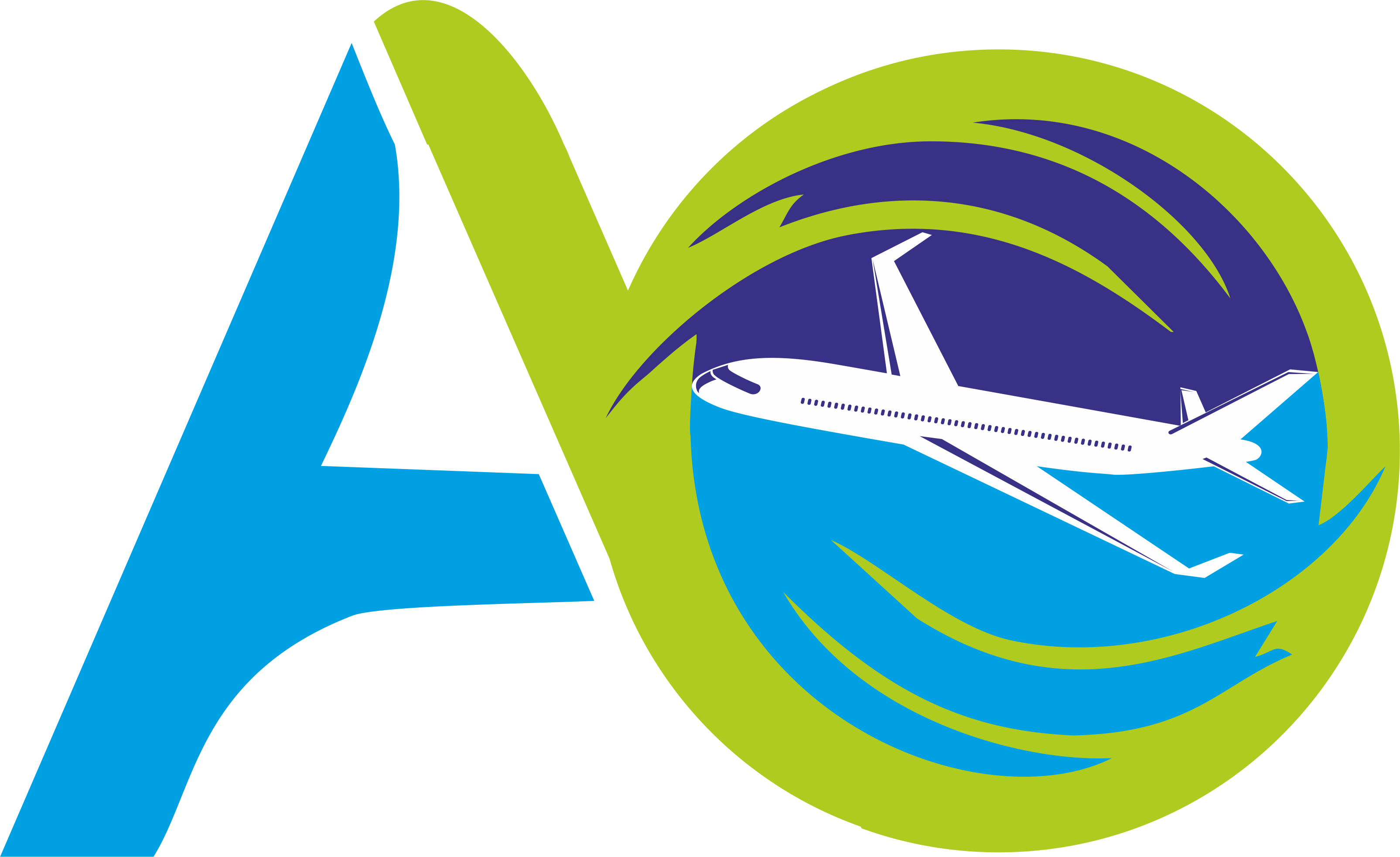 Avi Ocean Logistics LLC